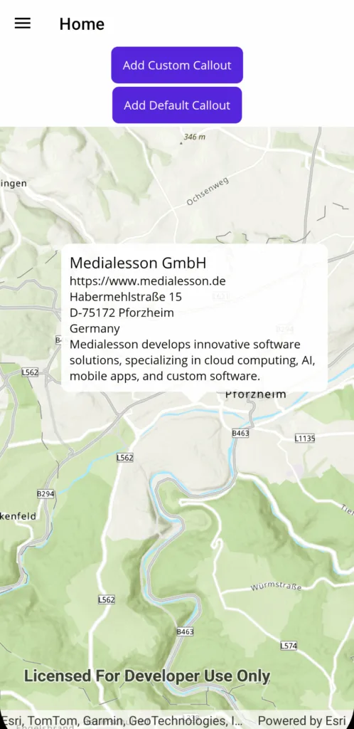 Demo of the sample application